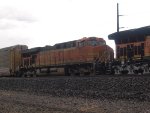 BSNF 7671